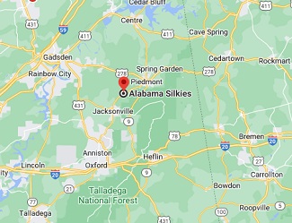 Alabama Silkies. Silkie Silkie Silkie Map